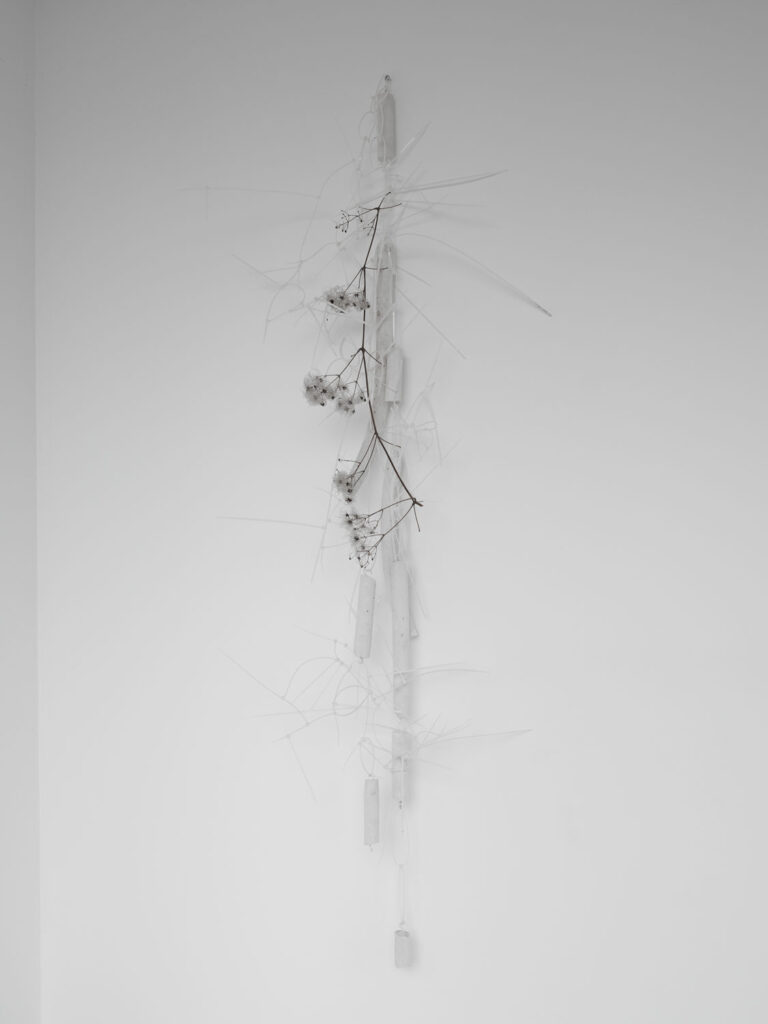 Giammarco Cugusi: Clematis VItalba, Gesso. è una serie di lavori che si contraddistinguono per la presenza di fascette elettriche . Opera dell'artista Giammarco Cugusi Clematis Vitalba Art Studio Finestreria Gallery