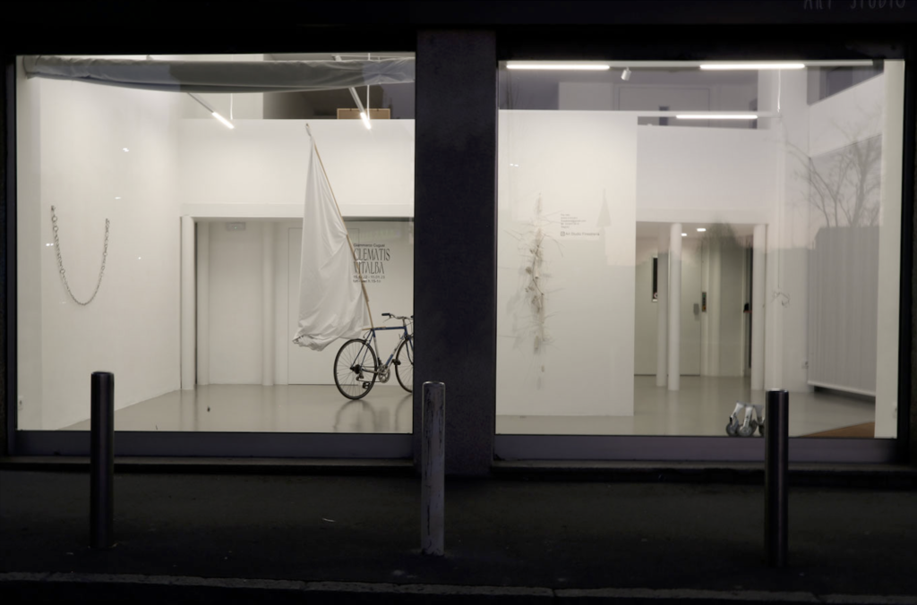 Galleria NEWSLETTER contatti: L'associazione culturale Art Studio Finestreria di Claudia Ponzi rappresenta un punto di incontro tra artisti. Opera dell'artista Giammarco Cugusi Clematis Vitalba - home art studio finestreria gallery: è una galleria d'arte con approccio sperimentale che coinvolge collezionisti di tutto il mondo. art gallery. solo-exhibition-plural-exhibition tutte le mostre che abbiamo organizzato fino ad oggi con gli artisti selezionati. collection pittura fotografia contemporary art