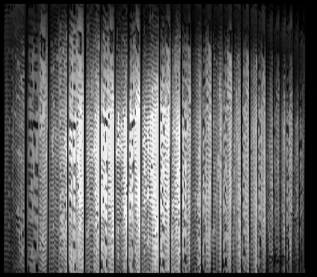 Opera d'arte contemporanea: Fotografie di William Fernando Aparicio. Art gallery Milano