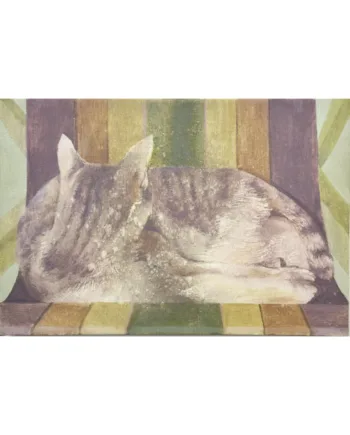 Martina Cinotti | Tuttigatti