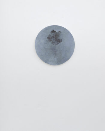 Professional Photos of Artworks