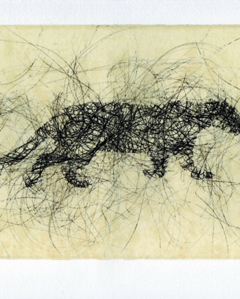 Giorgia Oldano | Tuttigatti (All Cats)