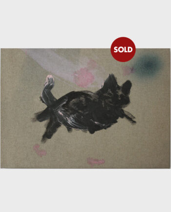 Martina Antonioni | Tuttigatti (All Cats)